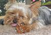 It's Riley's Birthday-020.jpg