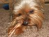 It's Riley's Birthday-022.jpg