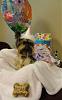 Happy 5th Birthday Tessie!-dsc00704.jpg