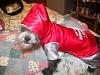 After a tragedy......introducing.....-zoe-t.jpg