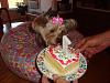 Sassy is 1 year old today-sassy-1-year-033.jpg