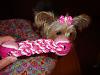 Sassy is 1 year old today-sassy-1-year-034.jpg