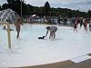 Molly's Doggie Dip Day!!!-molly-pool-2.jpg