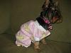 Lets see those Duckie Jammies!!-maci-2.jpg