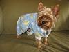 Lets see those Duckie Jammies!!-mojo-2.jpg