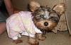 Lets see those Duckie Jammies!!-004.jpg