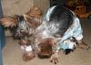 Lets see those Duckie Jammies!!-012.jpg