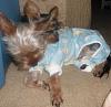 Lets see those Duckie Jammies!!-013.jpg