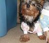 Lets see those Duckie Jammies!!-010.jpg