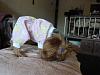 Lets see those Duckie Jammies!!-p1090981-1-.jpg