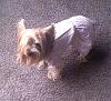 Lets see those Duckie Jammies!!-pjs2.jpg