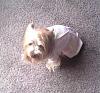 Lets see those Duckie Jammies!!-pjs3.jpg