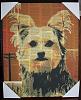 Yorkie Knick-Knacks, etc.  - Would Love to See Yours-img_0568.jpg