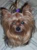 Pics of My Little Ones-jasmine2.jpg