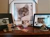 Yorkie Knick-Knacks, etc.  - Would Love to See Yours-photo1456.jpg