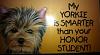 Yorkie Knick-Knacks, etc.  - Would Love to See Yours-honor-student.jpg