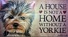 Yorkie Knick-Knacks, etc.  - Would Love to See Yours-yorkie-home.jpg