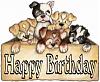 Happy Birthday Sugar Baby!!!-puppiesbirthday.jpg