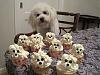 cutest cupcakes in the world!!-cutest-dog-cupcakes-world.jpg