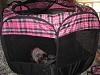 Pet Tent?-img_9289.jpg