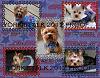 YorkieTalk 2012 Calendars - ORDER TODAY!-07.jpg