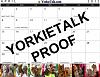 YorkieTalk 2012 Calendars - ORDER TODAY!-aprilbottomproof.jpg