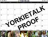 YorkieTalk 2012 Calendars - ORDER TODAY!-junebottomproof.jpg