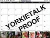 YorkieTalk 2012 Calendars - ORDER TODAY!-decemberbottomproof.jpg