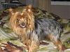 New Groomer-img_1535.jpg