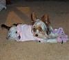 Question about onesies...-php3bvtxnpm.jpg