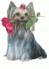 Just to cute-2c00a8db5e8c271e215b9b09f7f4d6f37ax1.gif