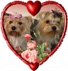 2012 Valentine's Day Ball Couples Submission Thread-yt-vdb-2012-brody-mia-v_heart-284x296.png