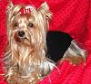 2012 Valentine's Day Ball Couples Submission Thread-teddyball.jpg