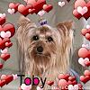 2012 Valentine's Day Ball Couples Submission Thread-toby.jpg
