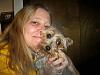 In your opinion is my Chewie a Silky/Yorkie/Mixture?-002.jpg