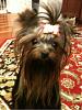 Hey Peppermint, Can I Be Your New Aunt?-img_0240.jpg