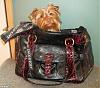 Kwigy bo alex dog carrier-1kk9y-1cw-1.jpg