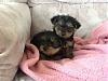 My girls are home-dbc6d6a0.jpg