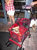 stroller prices?-picture-429.jpg