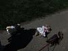 I met Jadabug and her pups!-jadabug-pups-6-.jpg