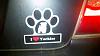 Yorkie Bumper Sticker-6y34nc.jpg