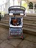 Do You Have A Stroller Derby FurBaby?-yazmin-divine-05-03-12-4.jpg