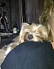 Does your babies like to lay on your shoulder?-mia-img-20111023-00216_469x600.jpg