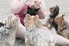Tufty's debutante ball-chicken-doggies.jpg