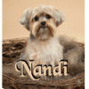 Nandi's modeling debut-9-3.gif