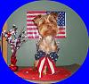 Happy July 4 th-005-crop.jpg