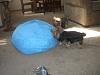 They love the Cloud Nine bed!!-cimg0507.jpg