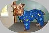 Oscar's New Fleece Onsie-007-crop.jpg