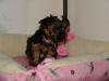 Willow is home-feb-043.jpg