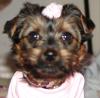 Willow is home-feb-046.jpg